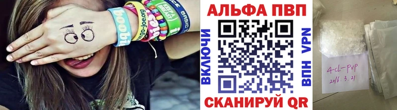 A PVP СК  Шагонар 