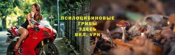 гидра Баксан