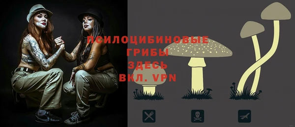 дмт Балахна